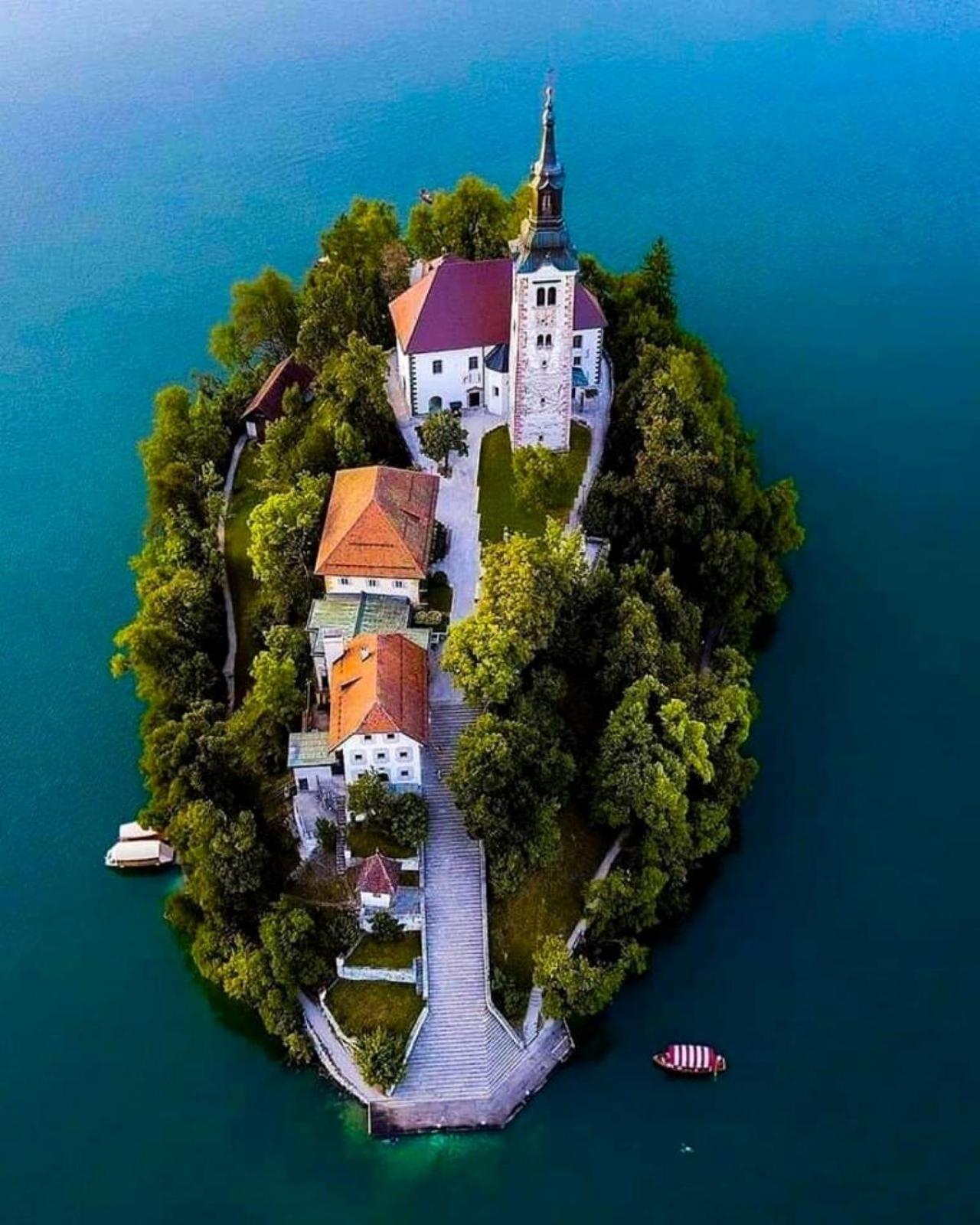 Tree Apartment Bled Bagian luar foto