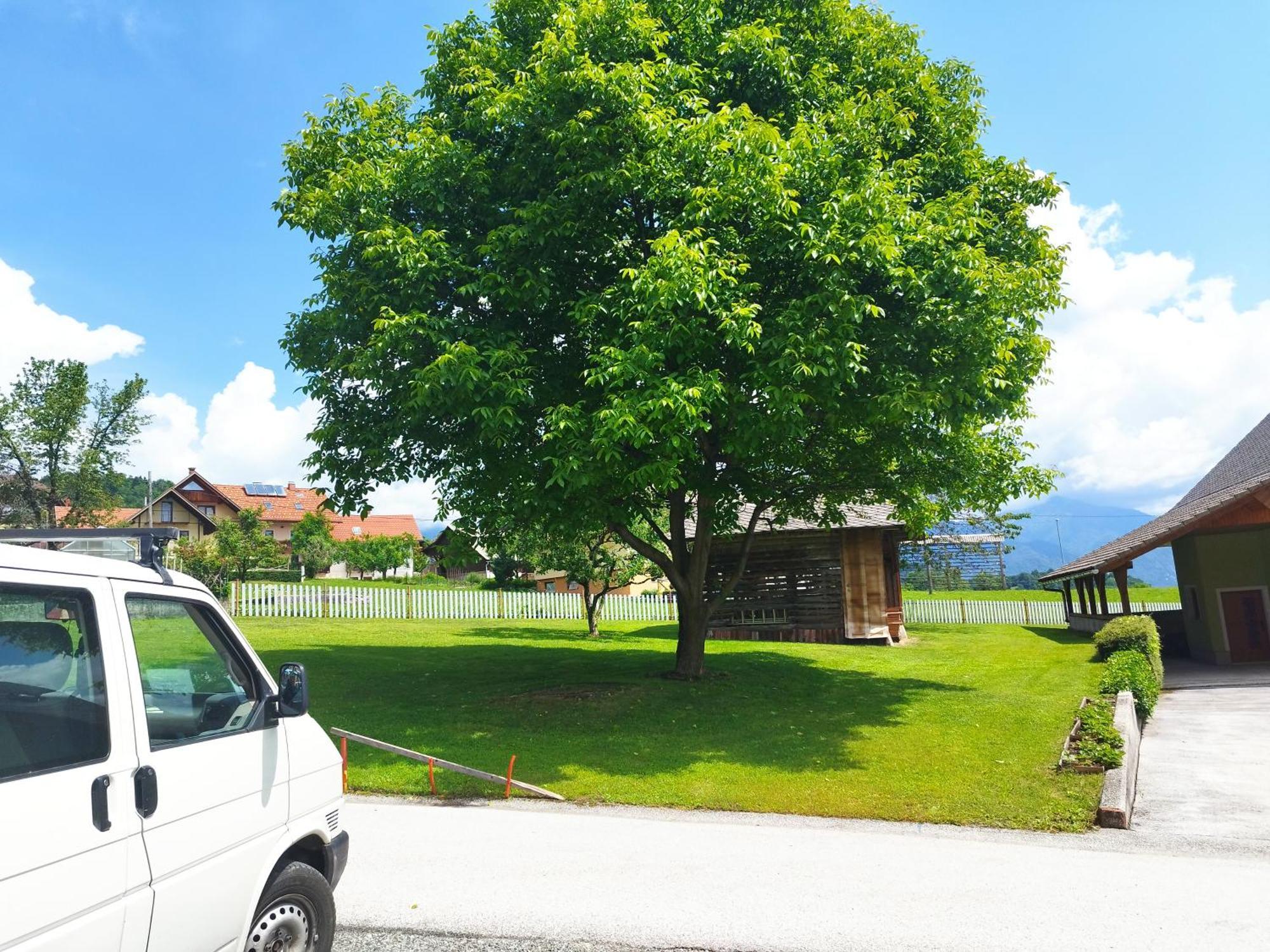 Tree Apartment Bled Bagian luar foto
